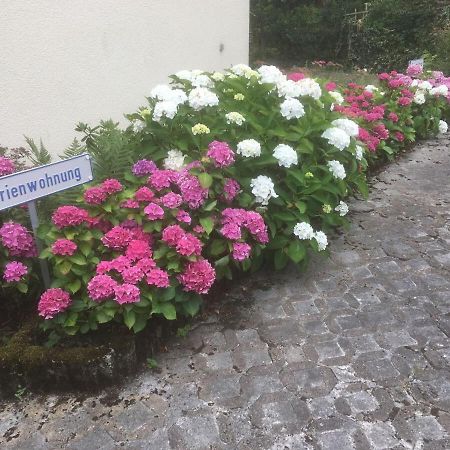 Ferienwohnung Sponheim Traben-Trarbach Dış mekan fotoğraf