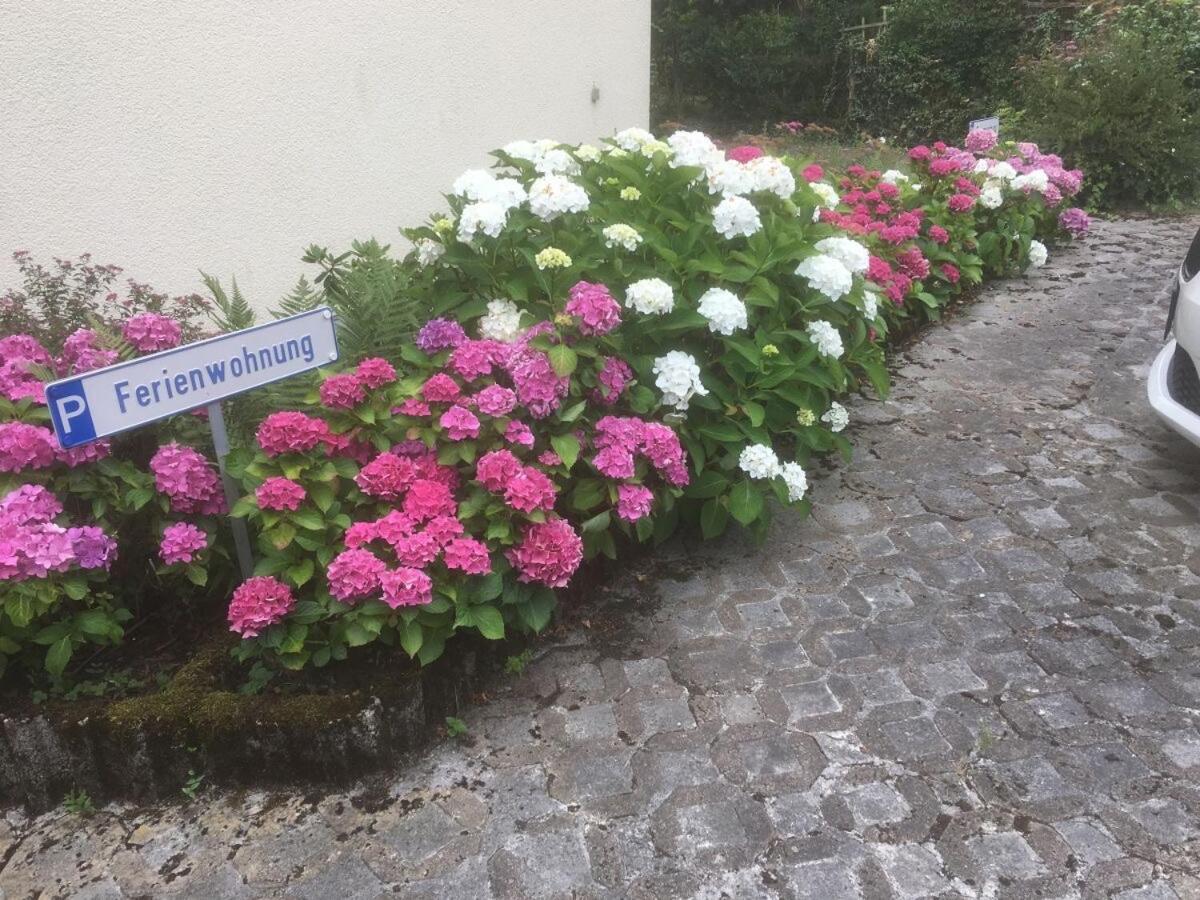 Ferienwohnung Sponheim Traben-Trarbach Dış mekan fotoğraf